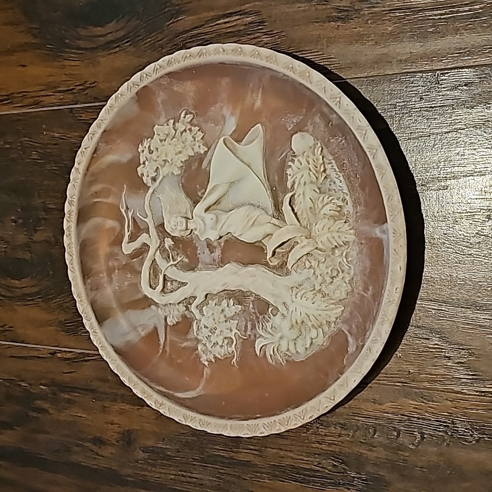 Collectors "She was a phantom of Delight" plate!